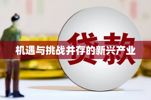 滨州机遇与挑战并存的新兴产业
