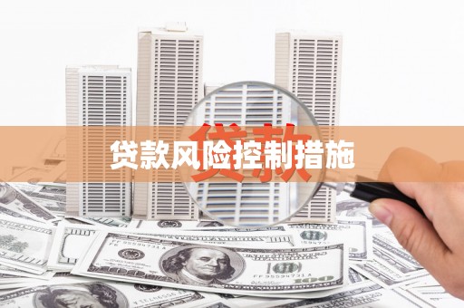 林州贷款风险控制措施