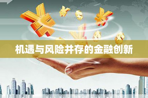 纳雍机遇与风险并存的金融创新