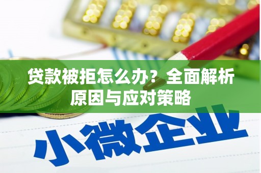湖北贷款被拒怎么办？全面解析原因与应对策略