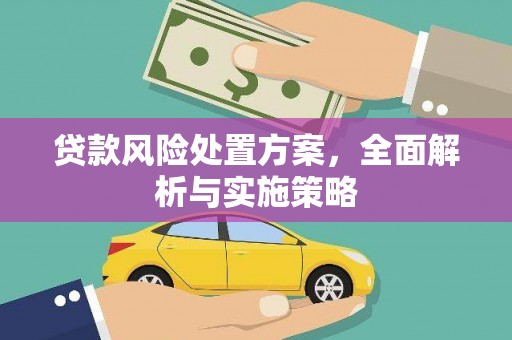 厦门贷款风险处置方案，全面解析与实施策略
