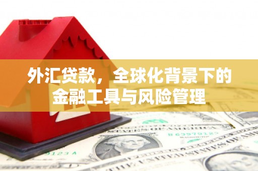 甘州外汇贷款，全球化背景下的金融工具与风险管理